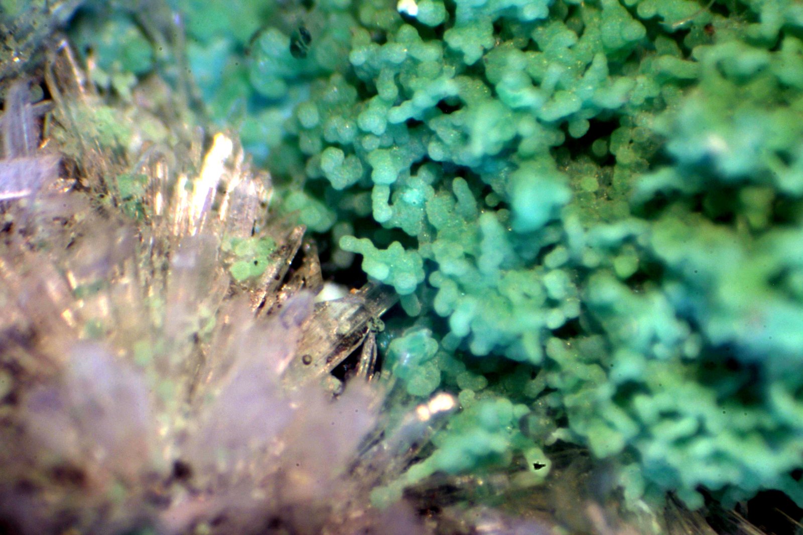 HEMIMORFITA
< 1 mm
(Autor: José Luis Zamora)
