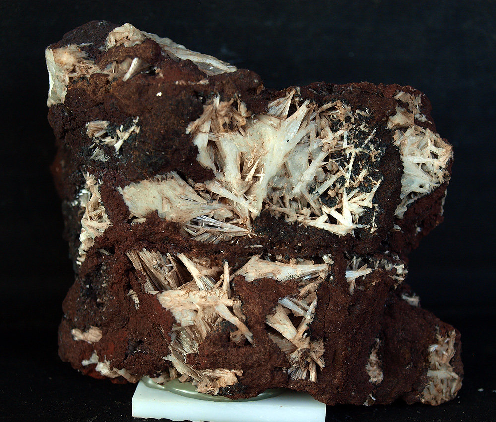 Celestina
8 x 6 cm
(Autor: Pedro Antonio)