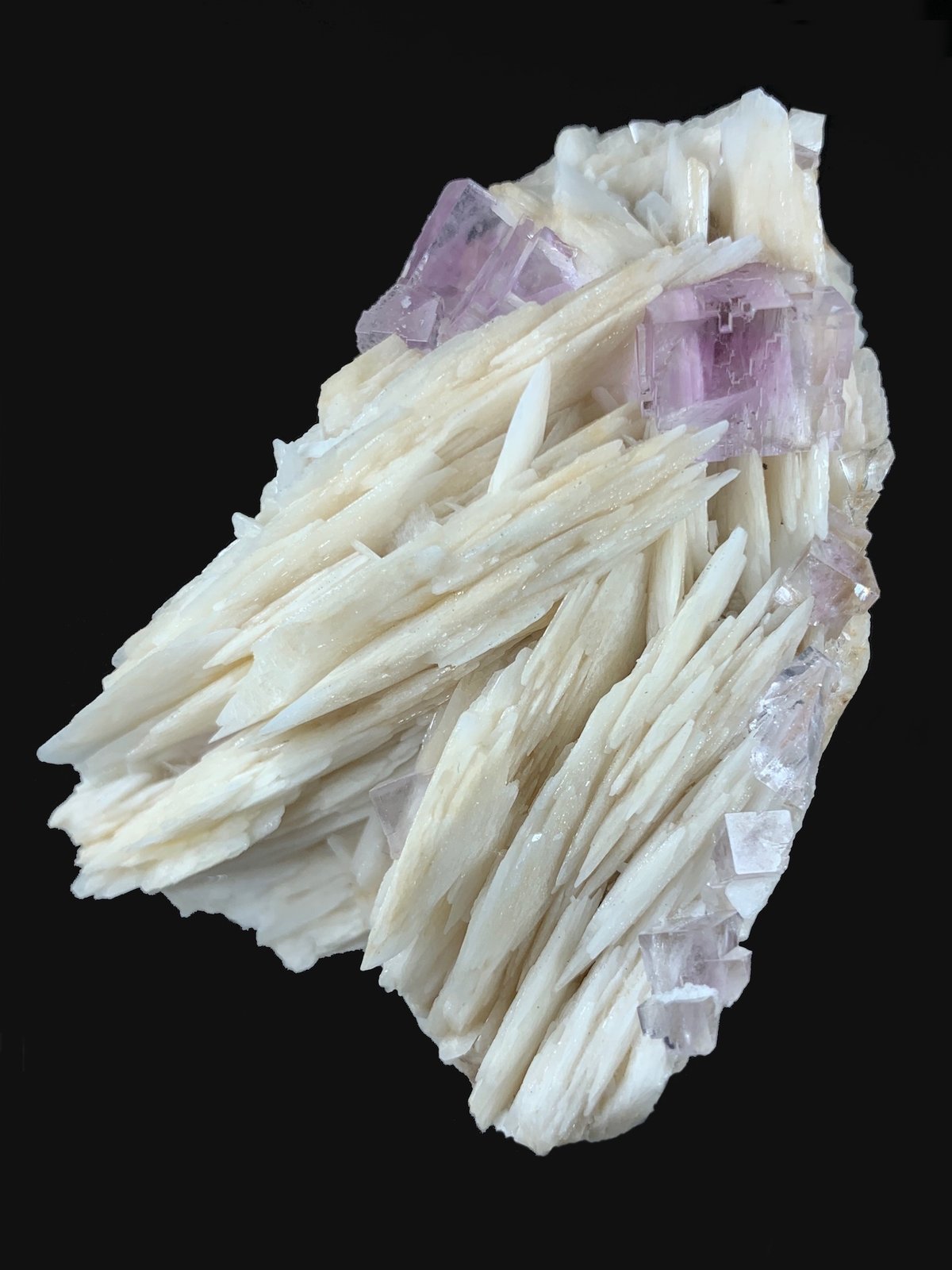Fluorita, Barita
7,8 x 5,5 cm.
(Autor: Xavier bordas)