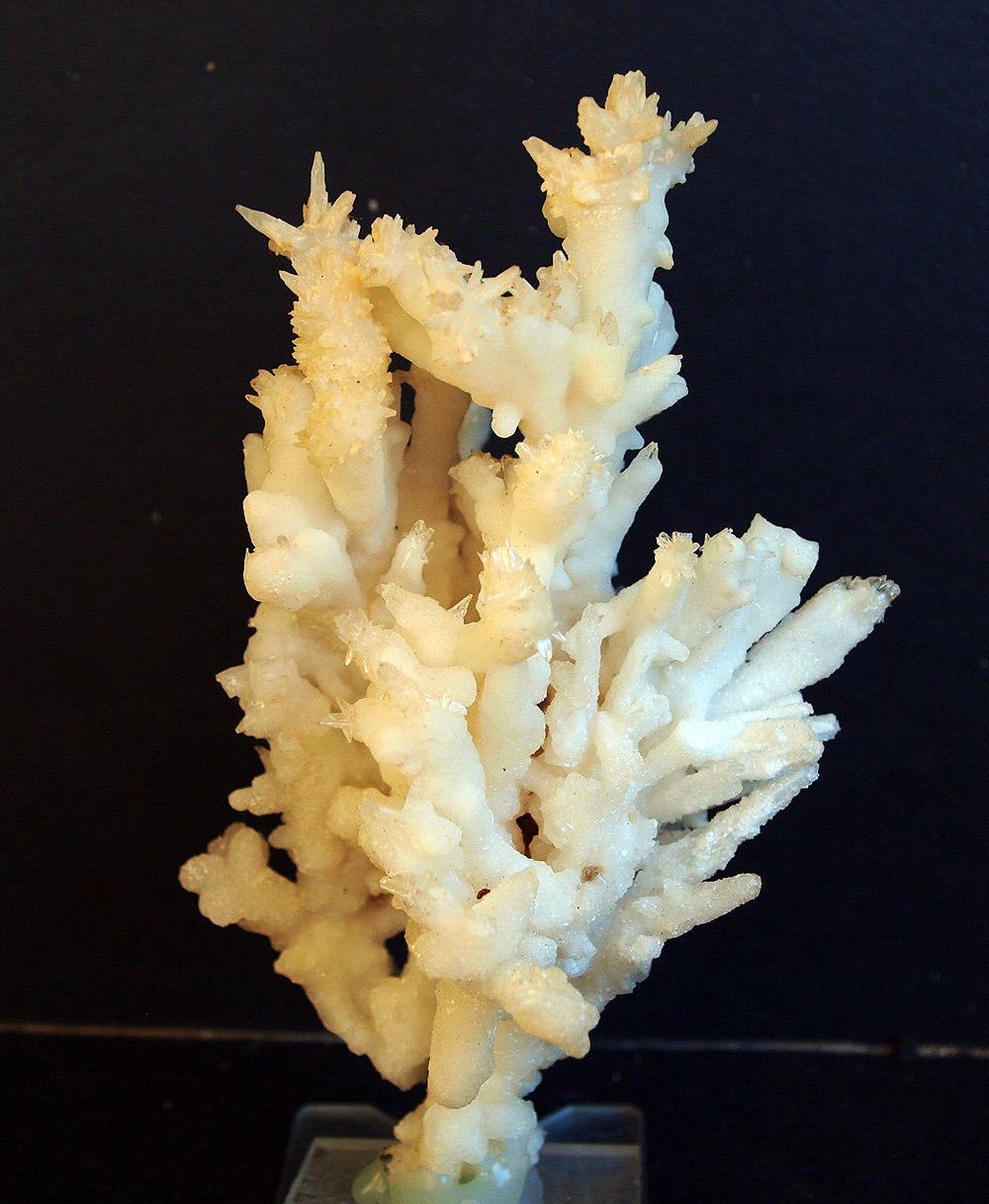 Aragonito
11 x 7 cm
(Autor: Pedro Antonio)