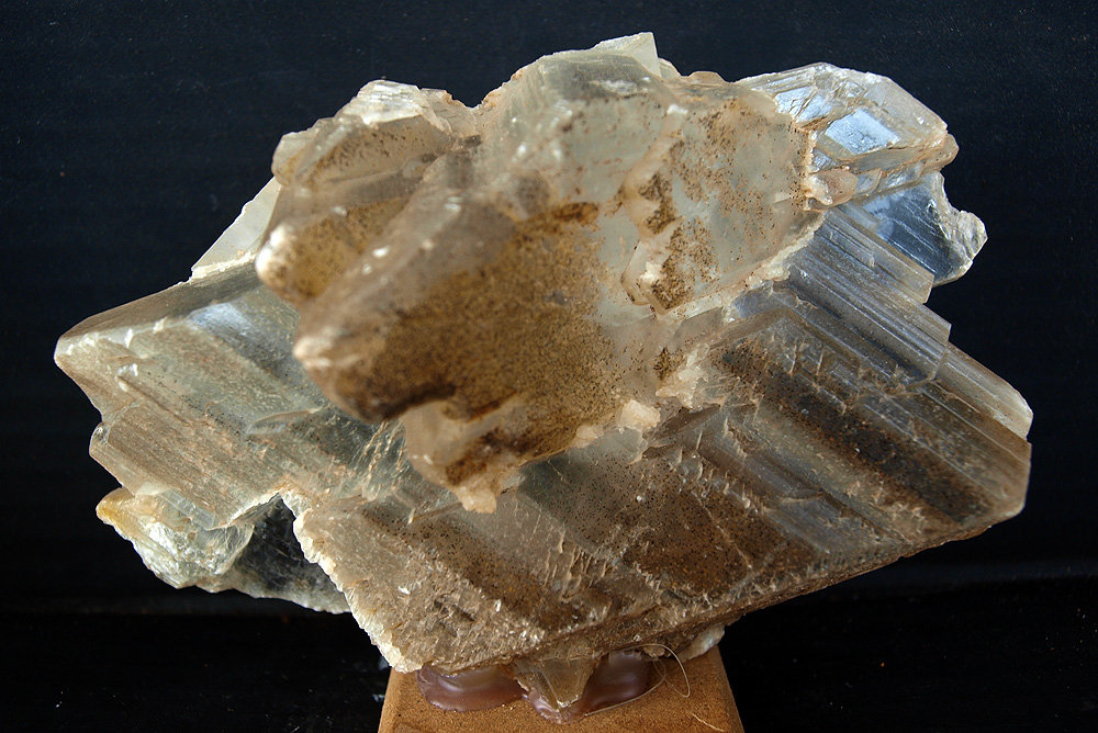 Yeso
13.5 x 9 cm
(Autor: Pedro Antonio)
