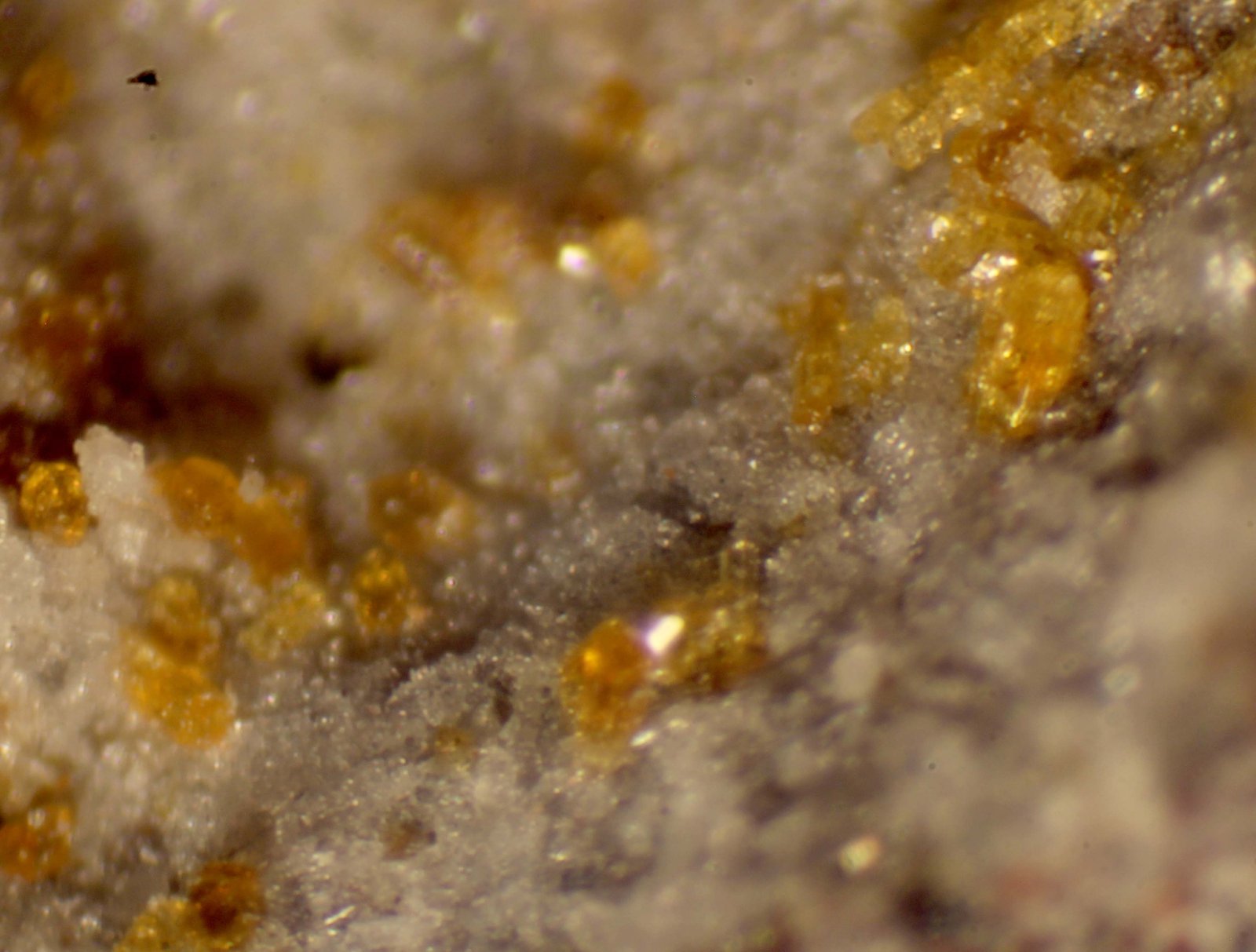 Enstatita
< 1 mm.
(Autor: José Luis Zamora)