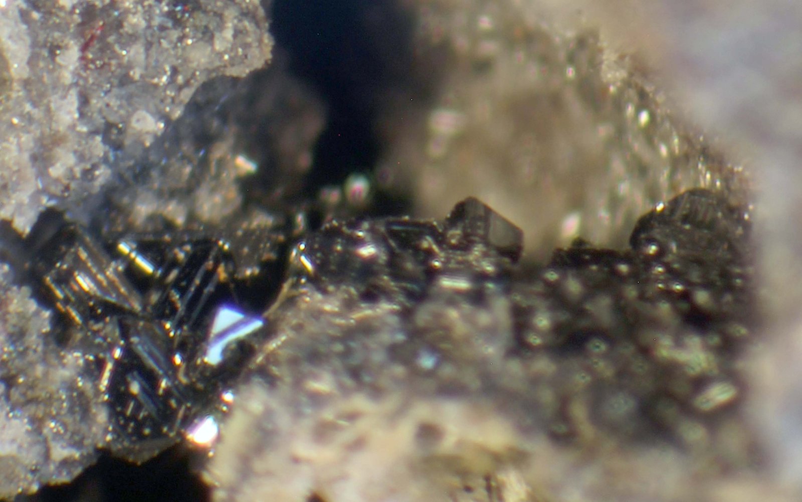 Magnetita
< 1 mm
(Autor: José Luis Zamora)