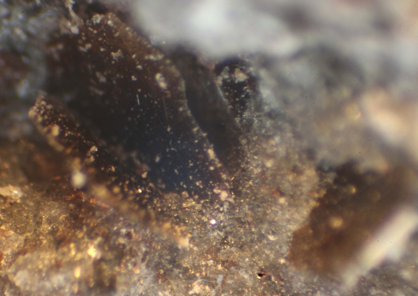 Fluoroflogopita
< 1 mm
(Autor: José Luis Zamora)
