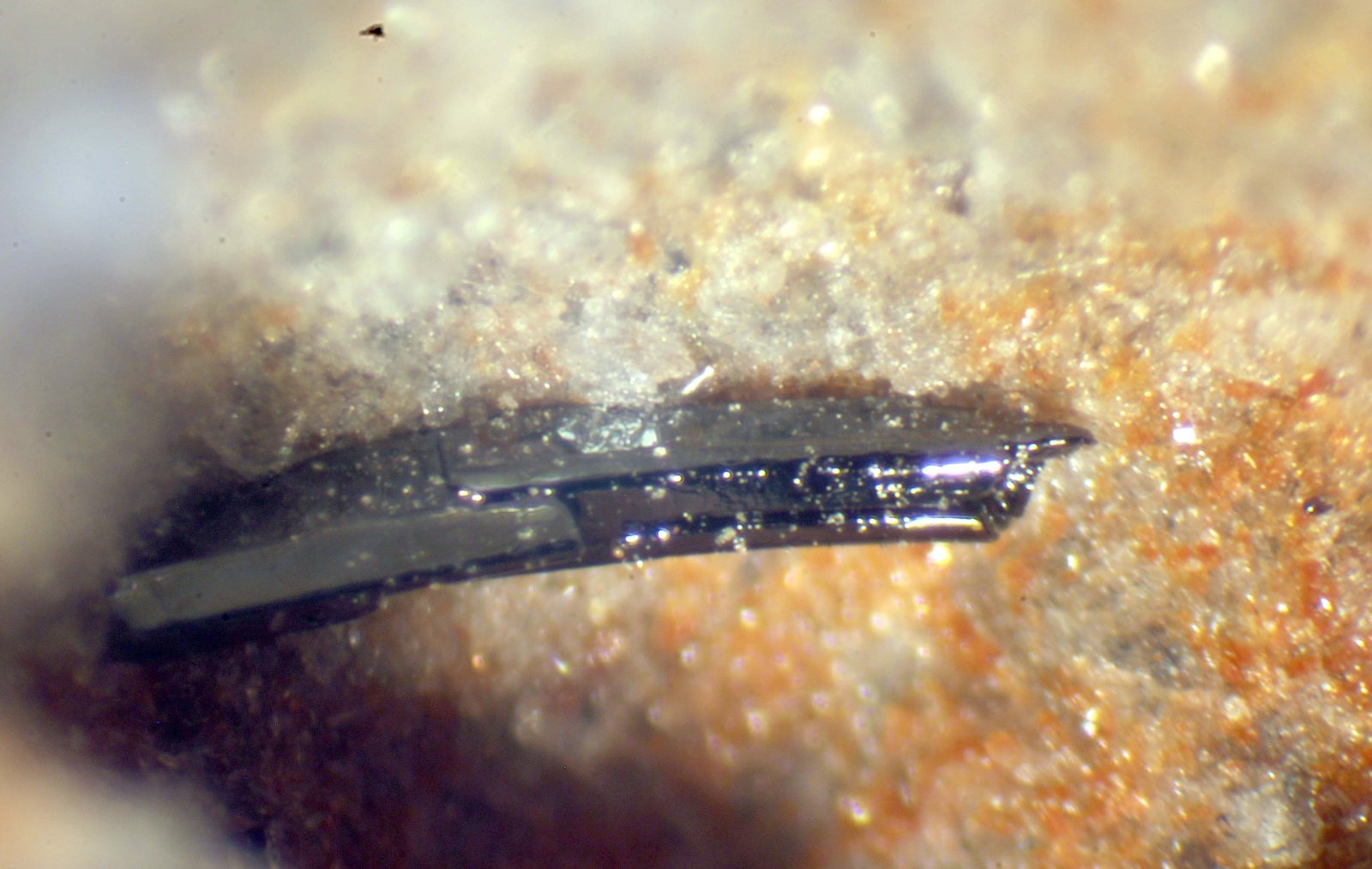 Pseudobrookita
< 1 mm
(Autor: José Luis Zamora)