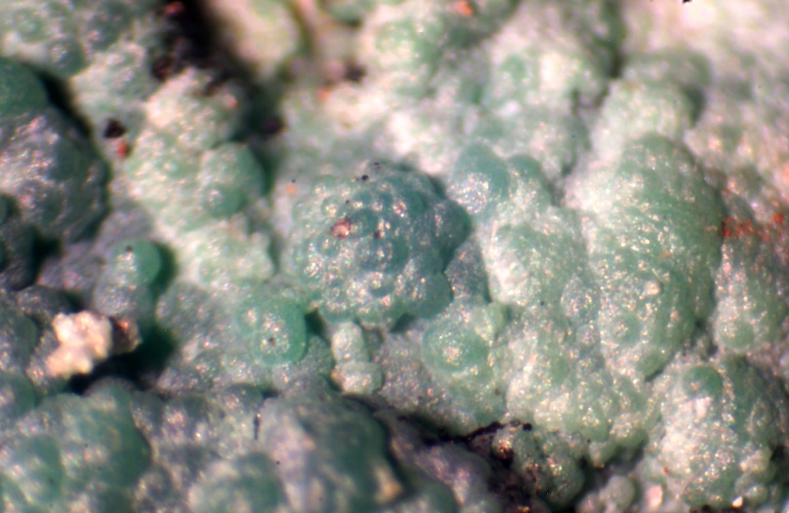 Conicalcita
< 1 mm
(Autor: José Luis Zamora)