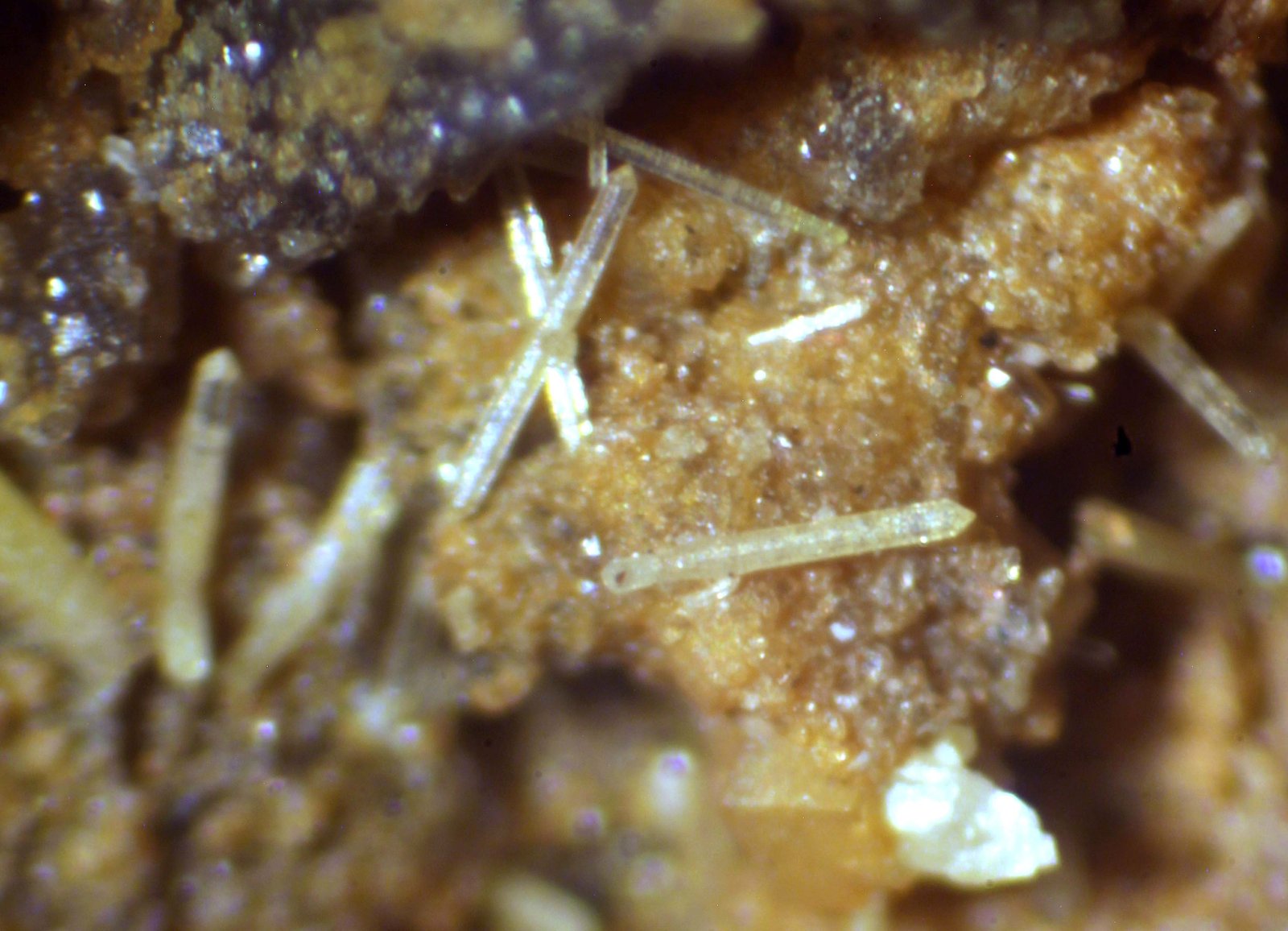 Mimetita
< 1 mm
(Autor: José Luis Zamora)