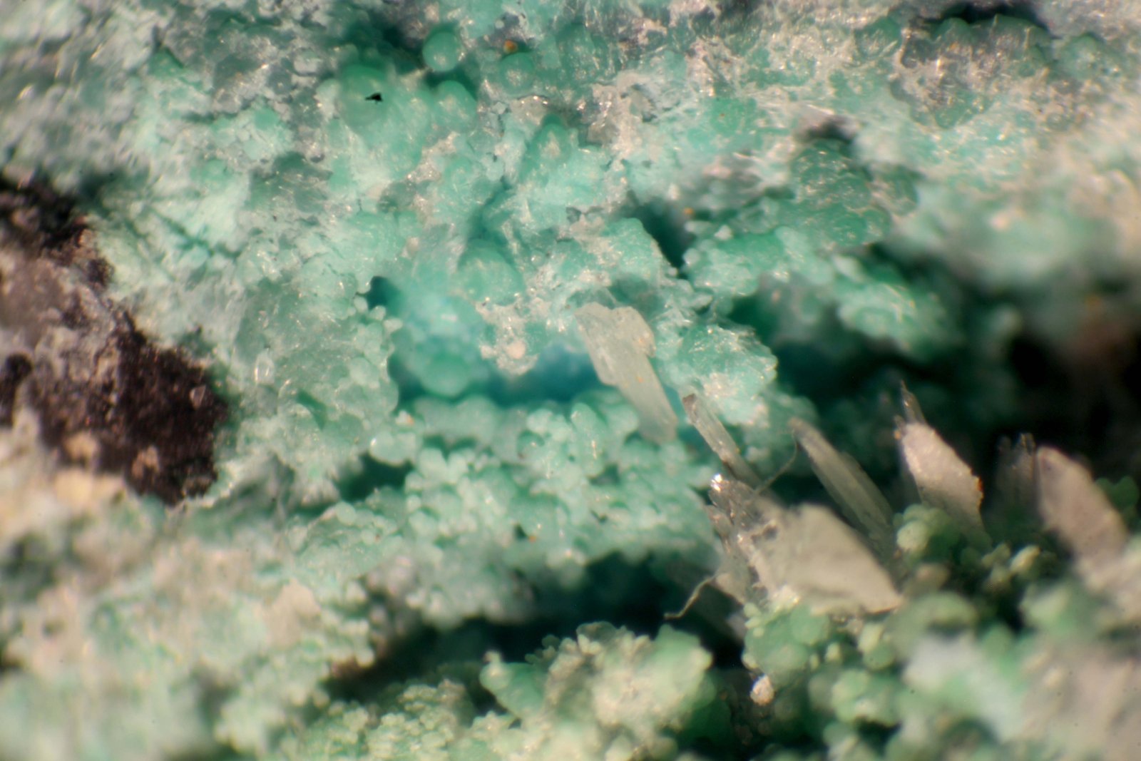 Conicalcita
< 1 mm
(Autor: José Luis Zamora)