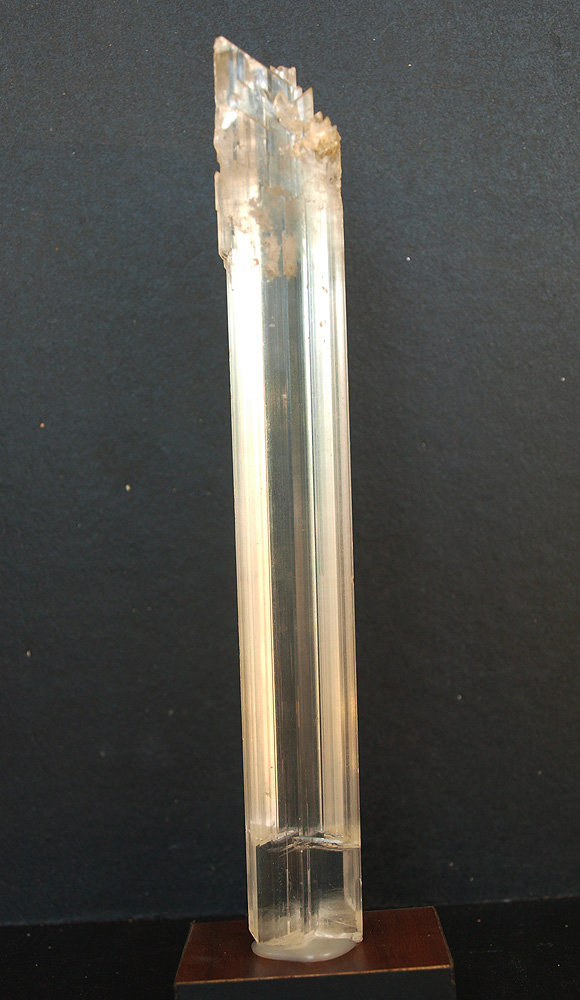 Yeso
17.5 x 2.3 cm
(Autor: Pedro Antonio)