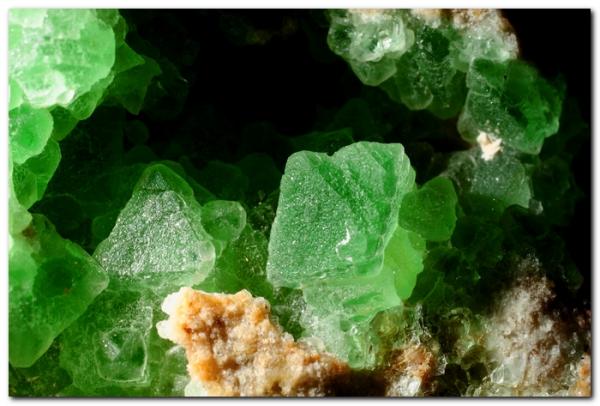 Fluorita.
Cristal mayor 12 mm
(Autor: Rafa Muñoz(mineralvarado))