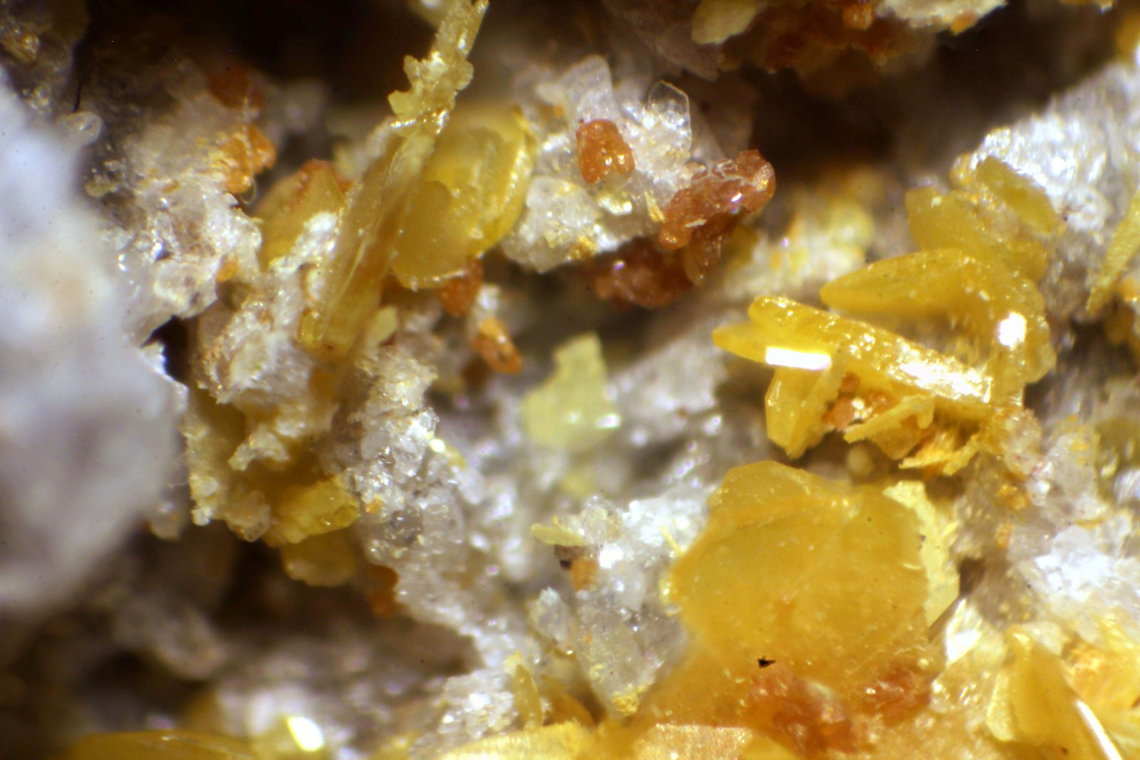 Wulfenita
< 1 mm
(Autor: José Luis Zamora)
