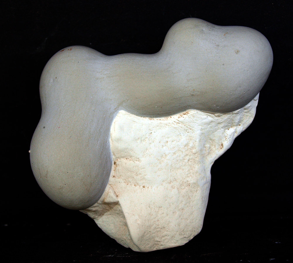 Ópalo (variedad menilito)
10.5 x 9 cm
(Autor: Pedro Antonio)