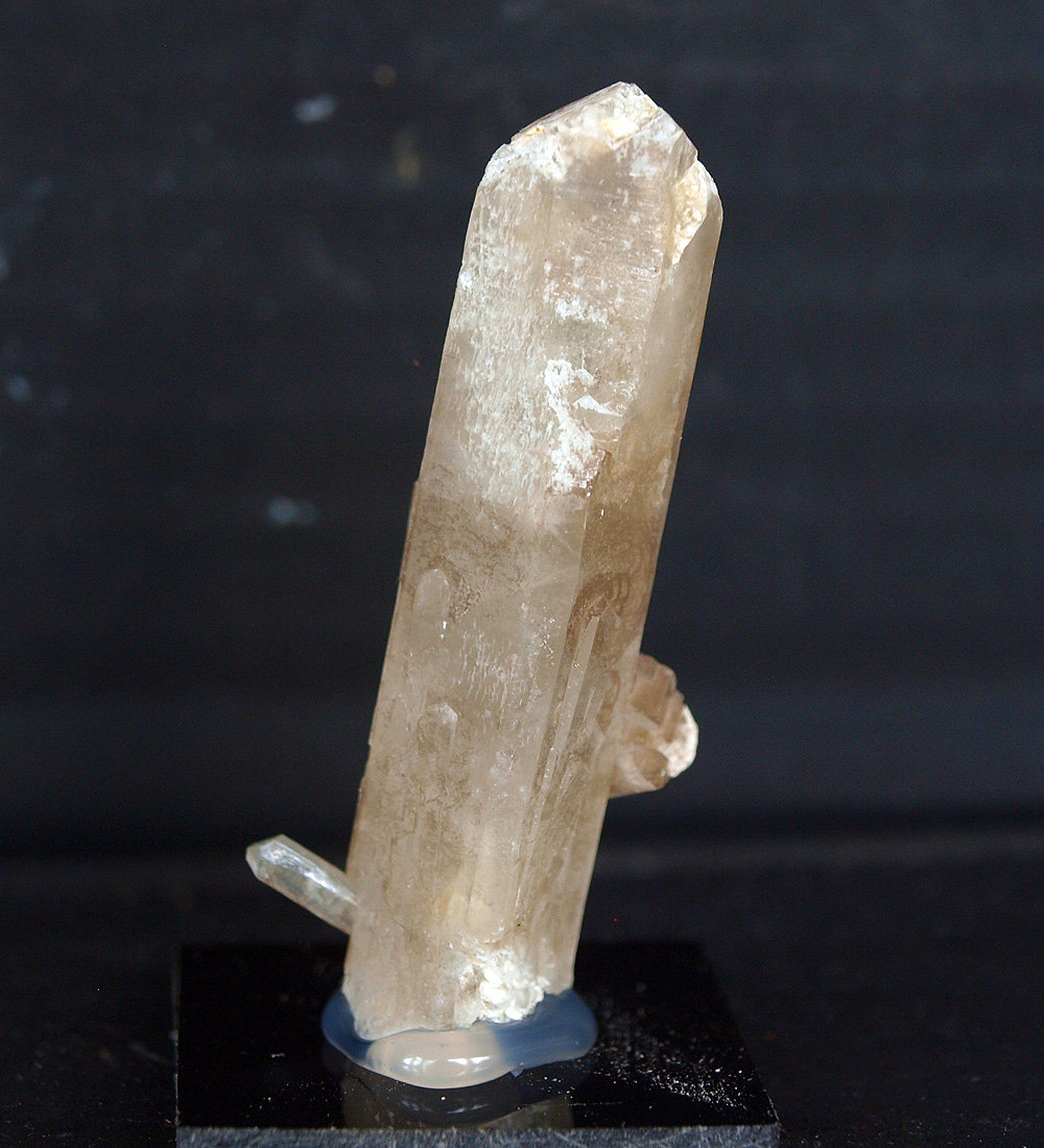 Celestina
5 x 1 cm
(Autor: Pedro Antonio)