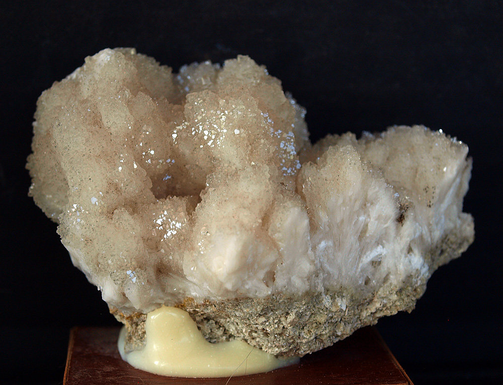 Celestina
8 x 5.5 cm
(Autor: Pedro Antonio)