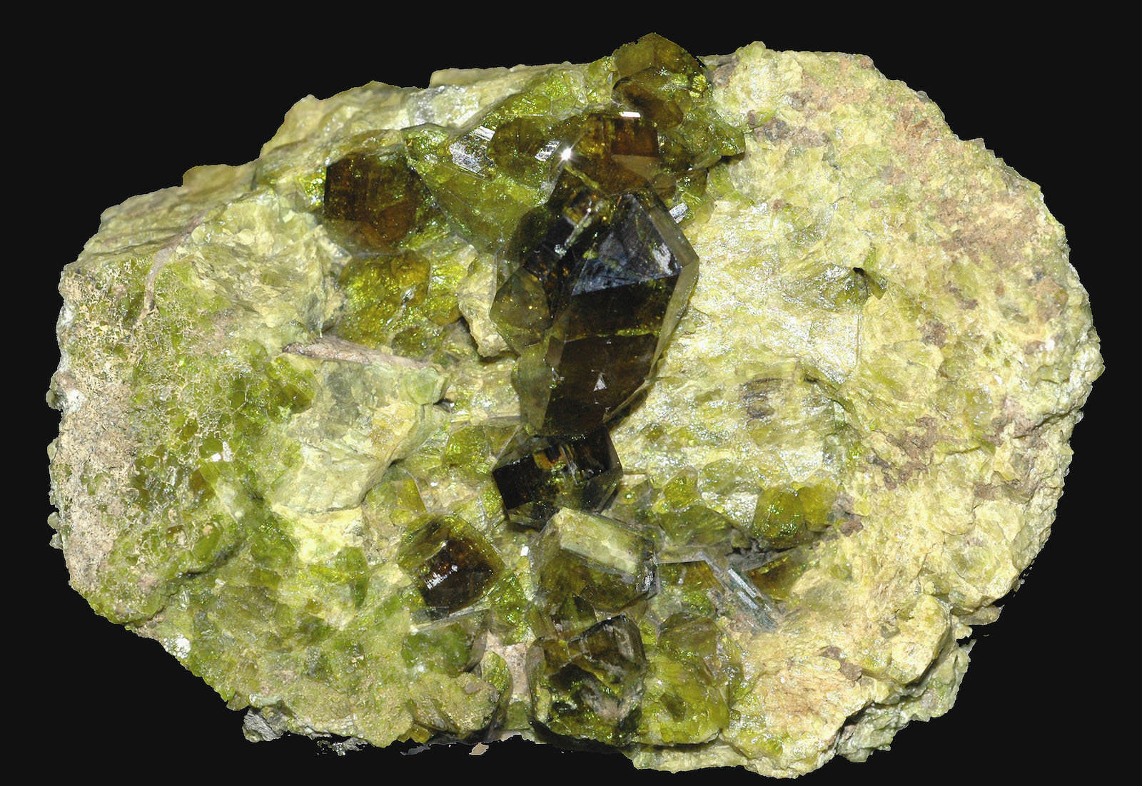 Epidota
7,3 x 4,8 cm
(Autor: Xavier bordas)