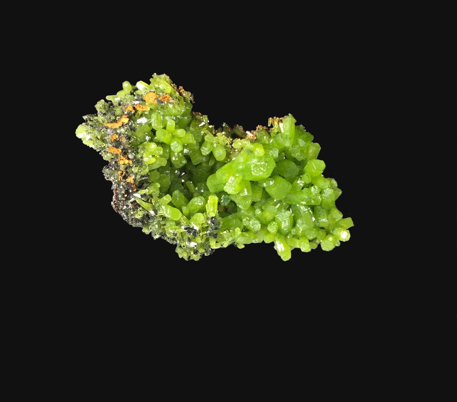 Piromorfita
6,7 x 4,9 cm.
(Autor: Xavier bordas)