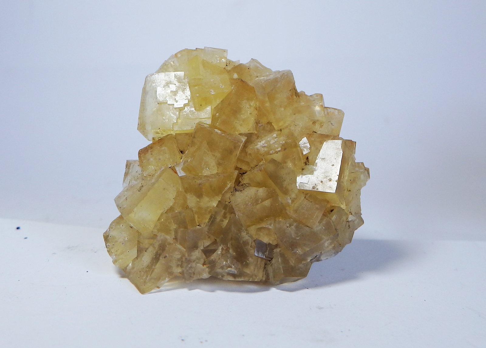 Fluorita
4,7 x 4,5 x 1,5 cm
(Autor: heat00)