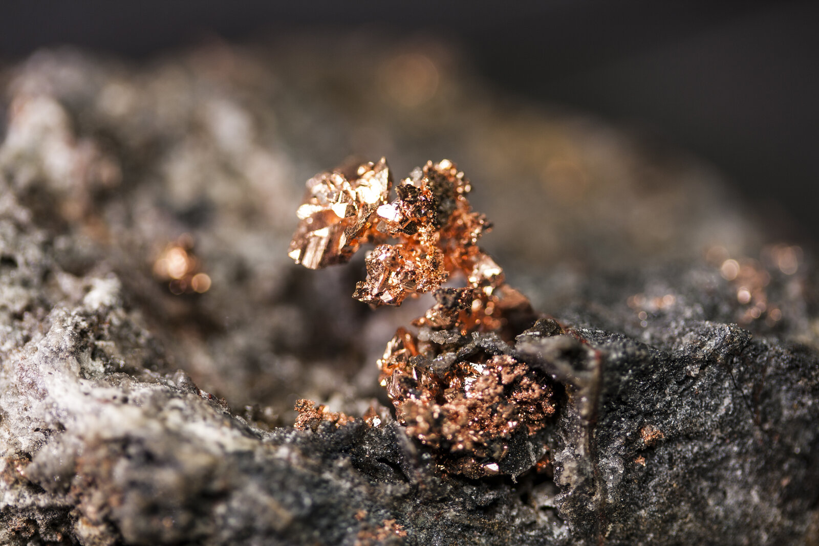 Cobre
Boinás Este, Plataforma 360, Boinás, Belmonte de Miranda, Comarca Oviedo, Principado de Asturias (Asturias), España
Cristal de longitud 1 cm
(Autor: Manuel Mesa)