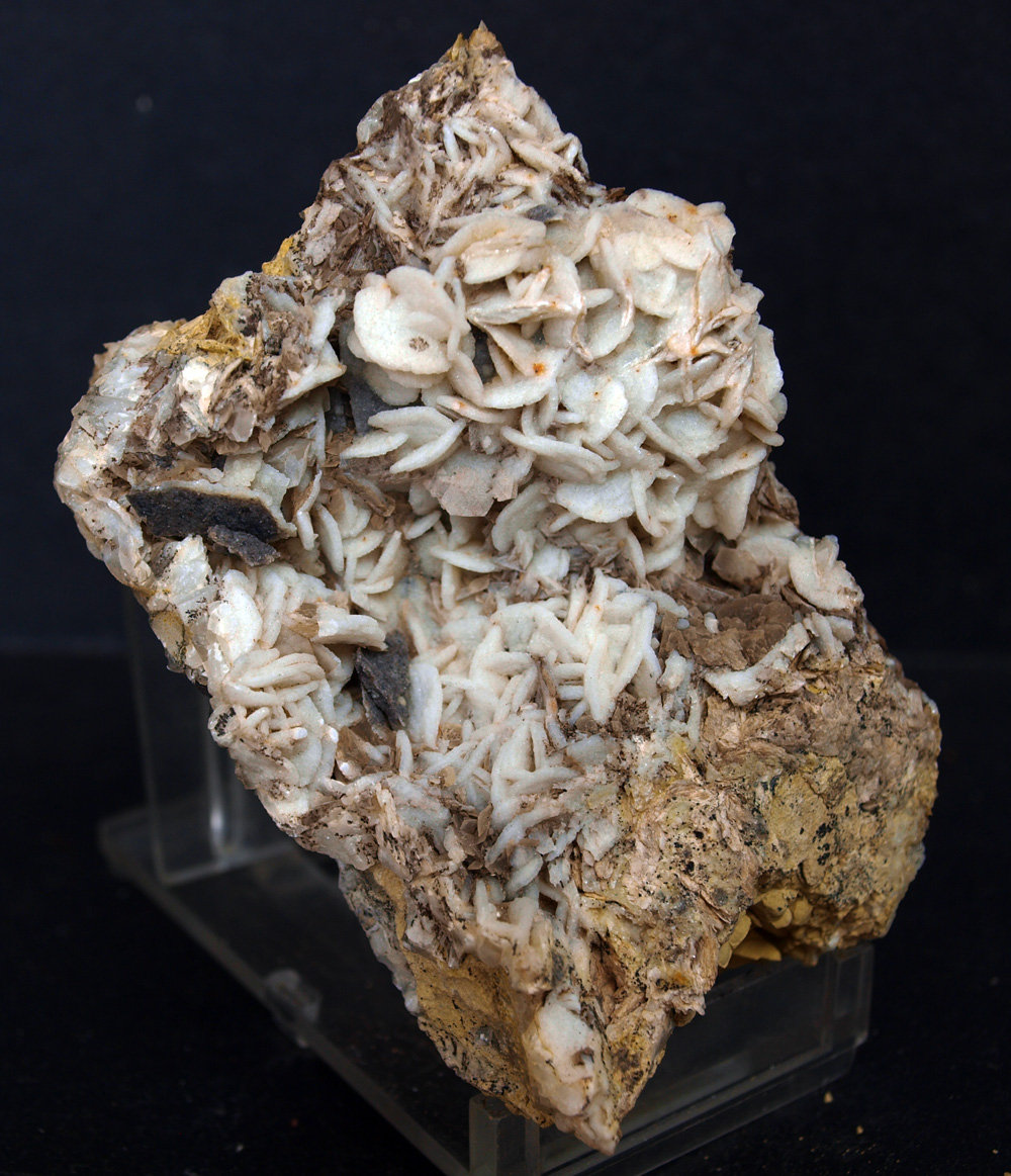 Cuarzo (variedad calcedonia)
8 x 5.5 cm
(Autor: Pedro Antonio)