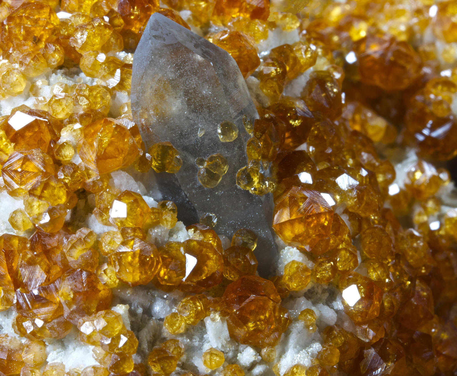 Spessartina, Cuarzo (variedad ahumado)
15,5 x 10,2 cm.
(Autor: Xavier bordas)