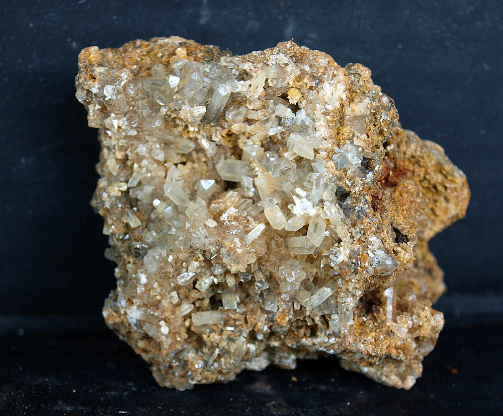 Celestina
7 x 5.5 cm
(Autor: Pedro Antonio)