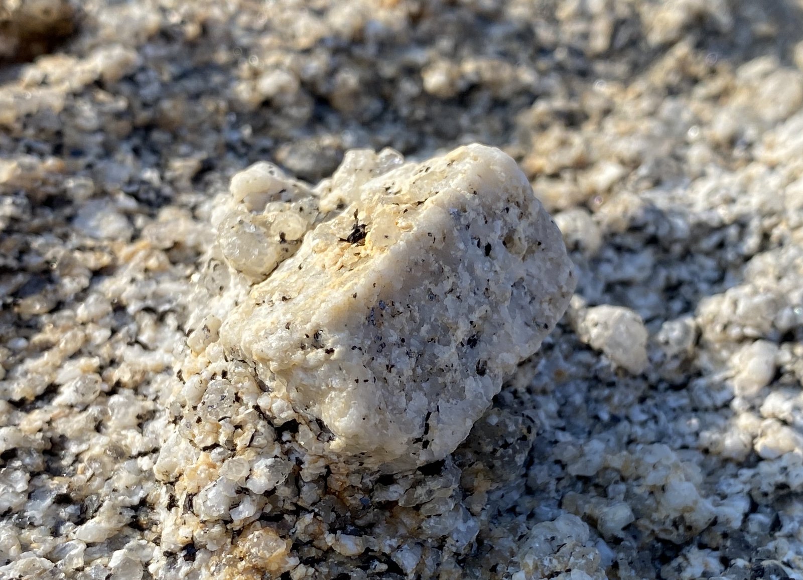 Feldespato
2,5x1 cm
(Autor: Emilio Téllez)