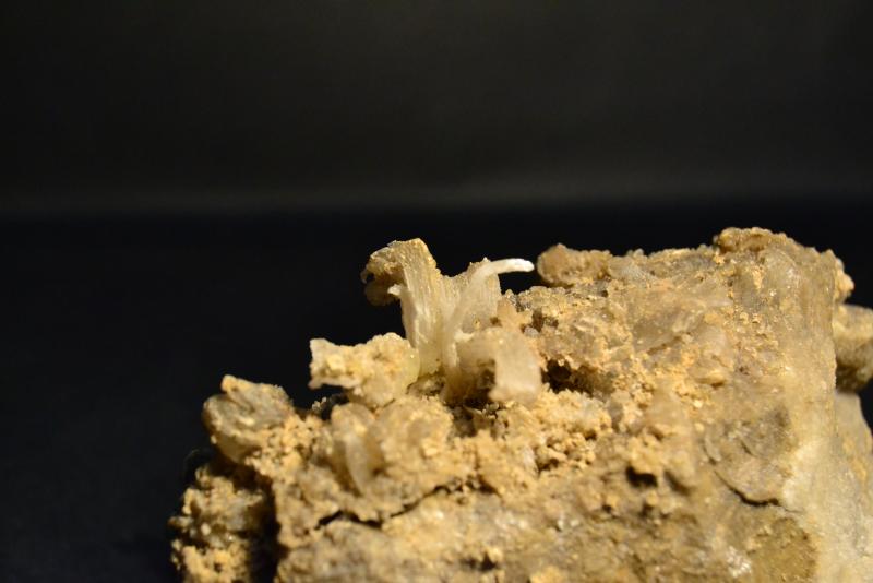 (Autor: Quexigal)
