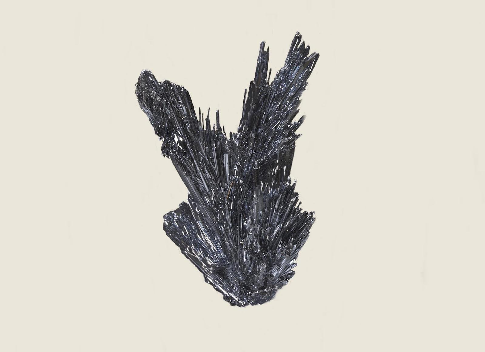 Stibnita (Estibina)
5,6 x 3,6 cm.
(Autor: Xavier bordas)