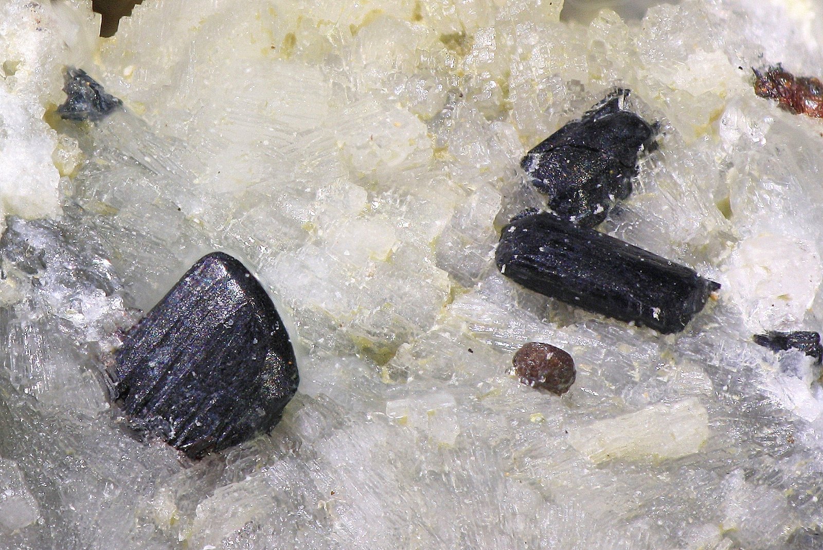 Pseudobrookita
Cristal mayor 2,1 mm
(Autor: Jorgina-Agusti-Màrius)