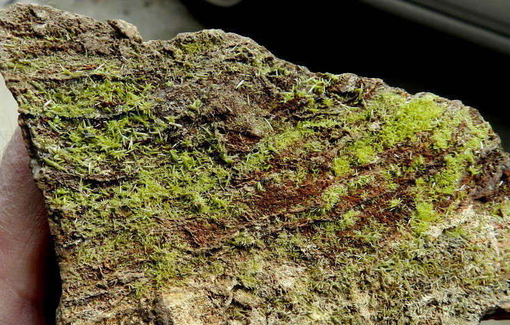 Piromorfita
8,5cm - 5,5cm
(Autor: ramon ro)