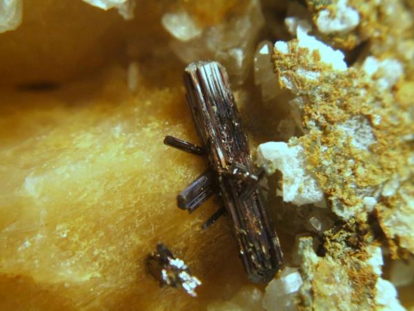 Rutilo
Cristal 1´3cm.
(Autor: Nieves)