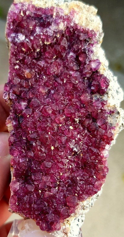 Fluorita
9cm - 4,5cm
(Autor: ramon ro)