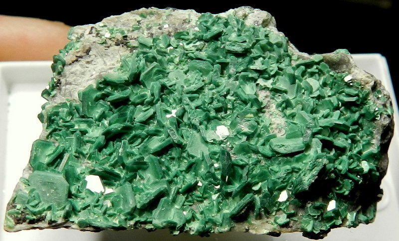 Torbernita
4,5cm - 3cm
(Autor: ramon ro)