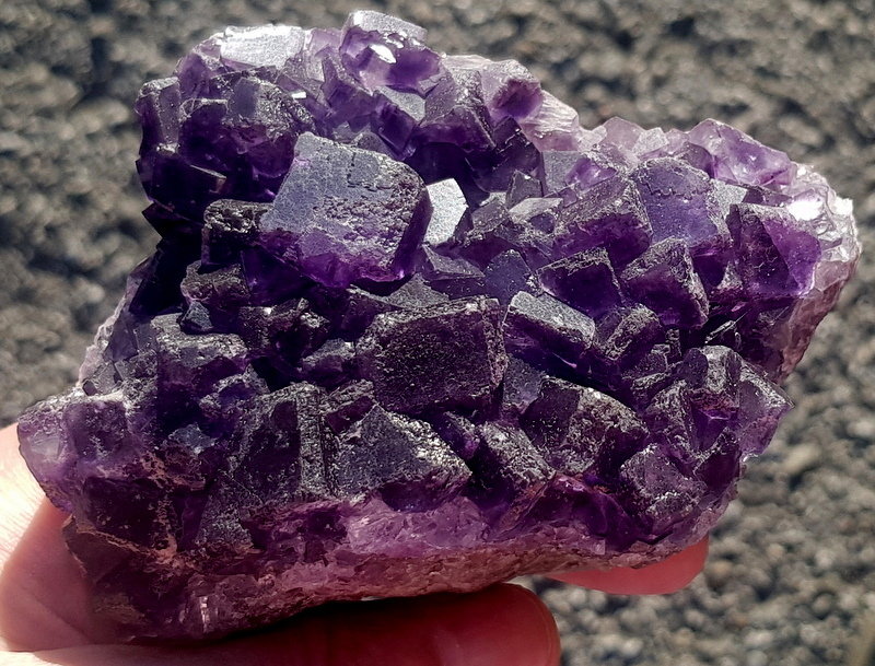 Fluorita
11,5cm - 7cm
(Autor: ramon ro)