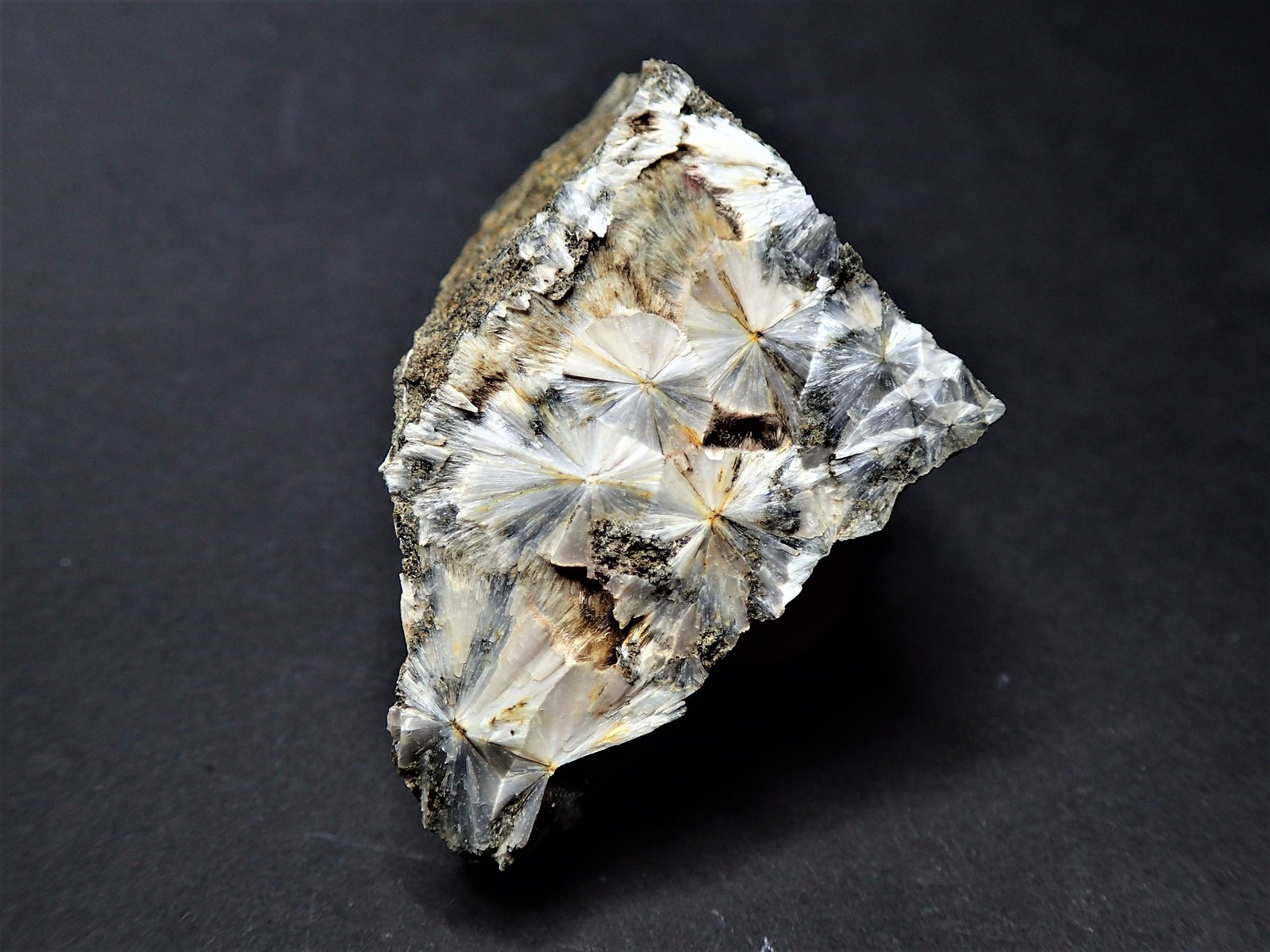 Escolecita
5 x 4 cm
(Autor: Frederic Varela)