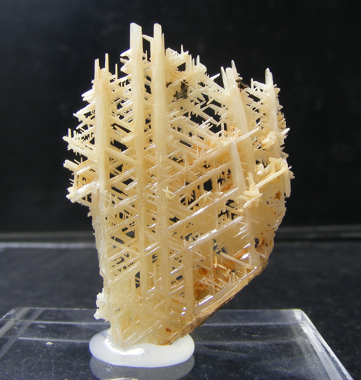 Cerusita
3,5cm
(Autor: yowanni)