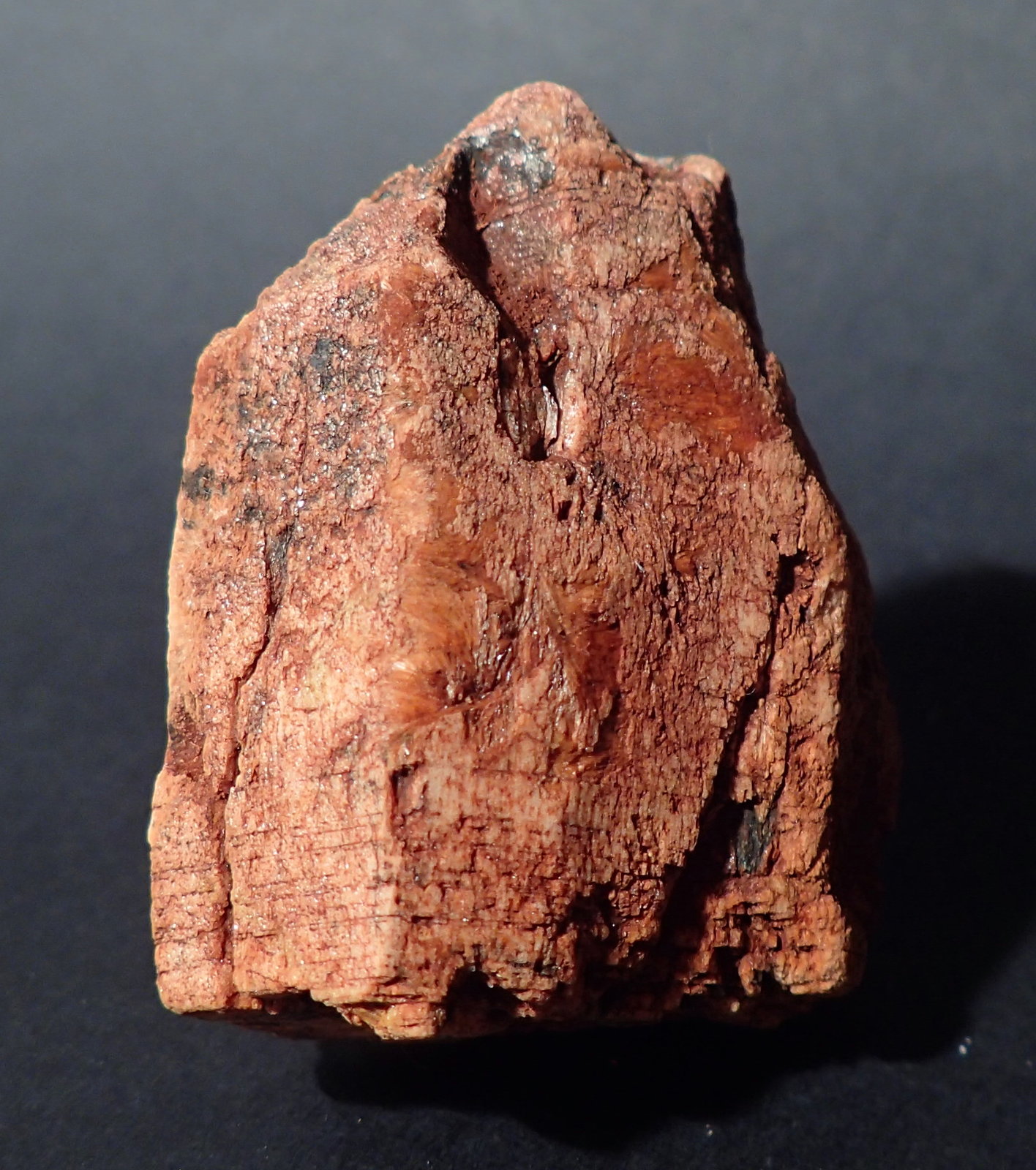Tremolita
4,5 x 4 x 2 cm
(Autor: Frederic Varela)