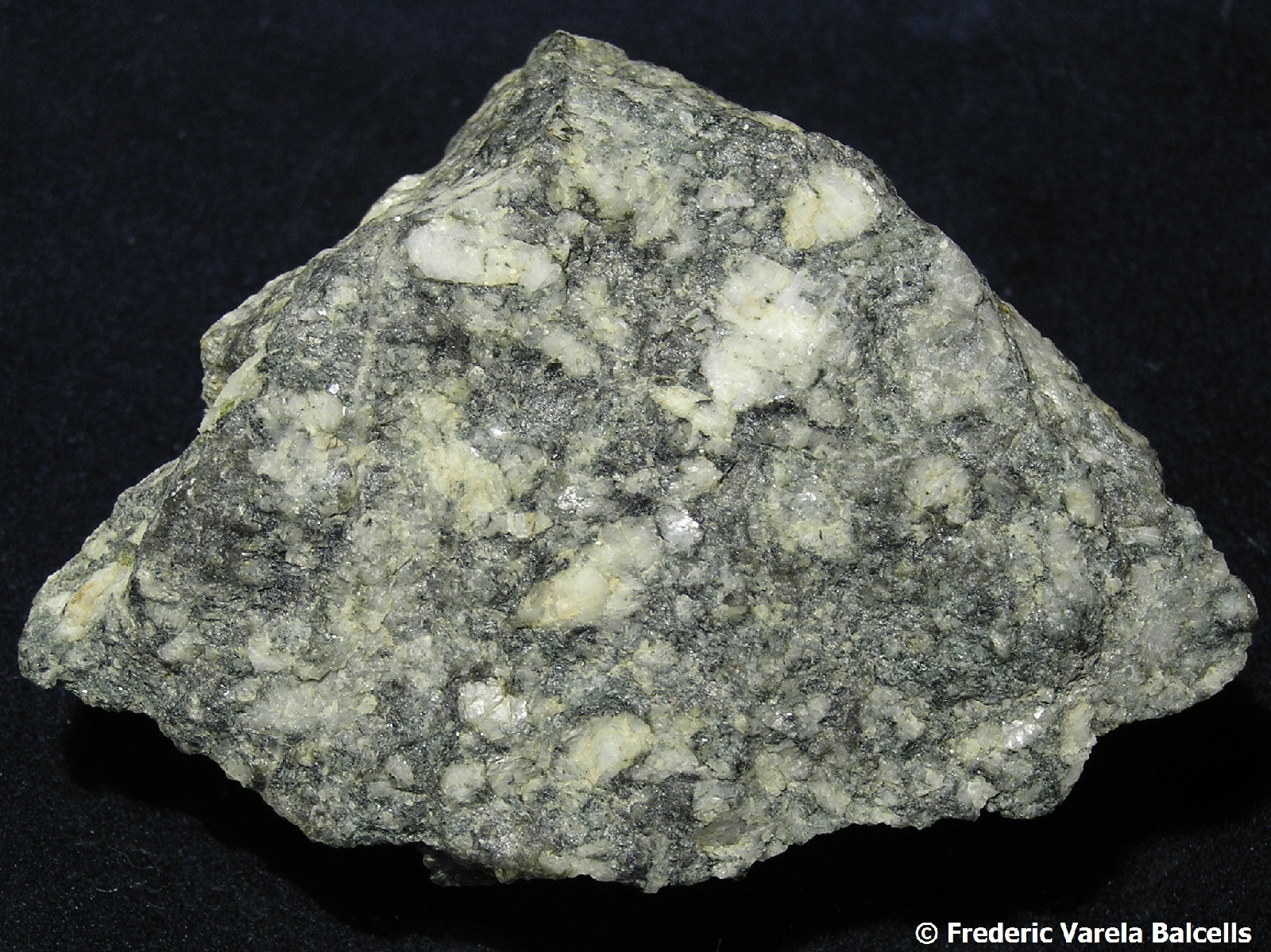 Gneis
8 x 6 x 2,5 cm
(Autor: Frederic Varela)