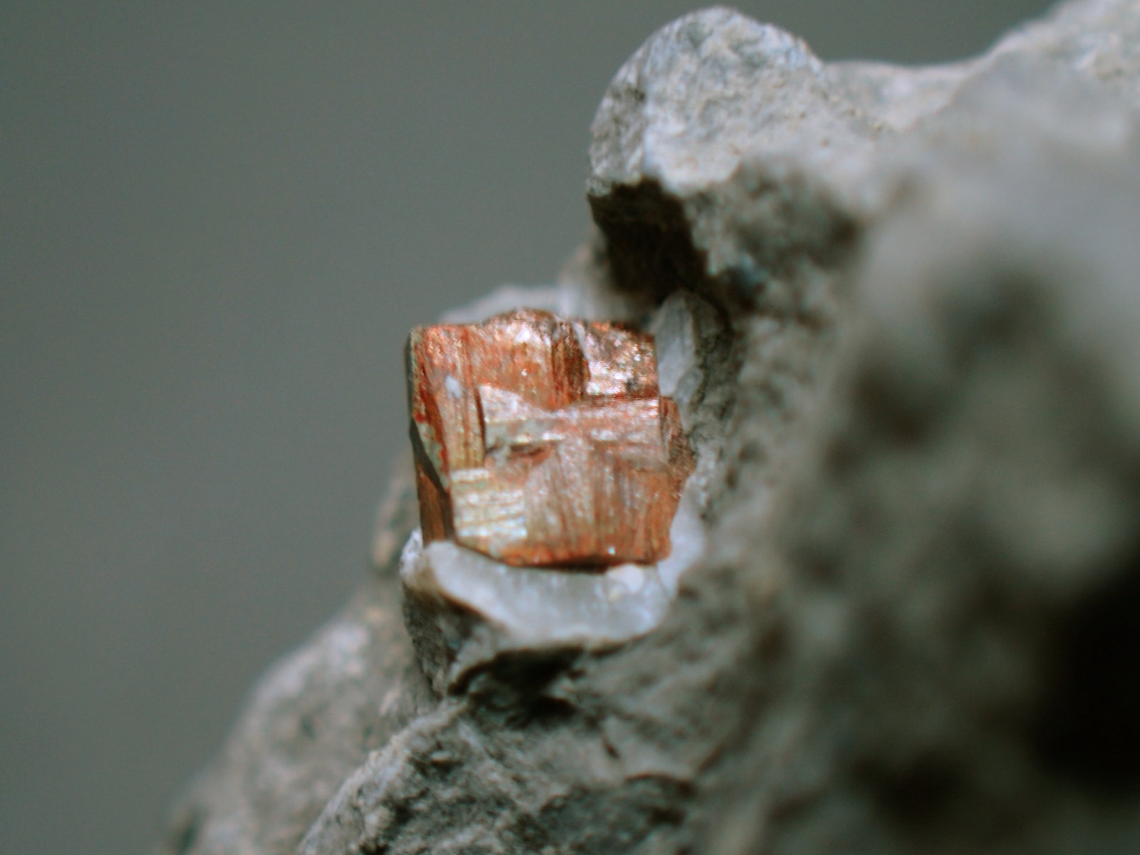 Pirita
0,4 x 0,3 cm (cristal)
(Autor: Frederic Varela)