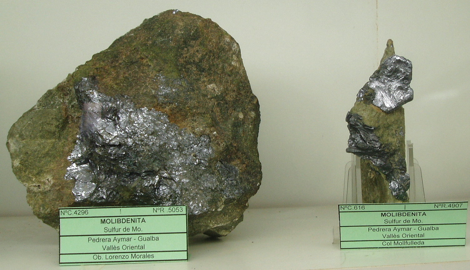 Molibdenita
10x6x3 cm (ejemplar de la derecha)
(Autor: Frederic Varela)