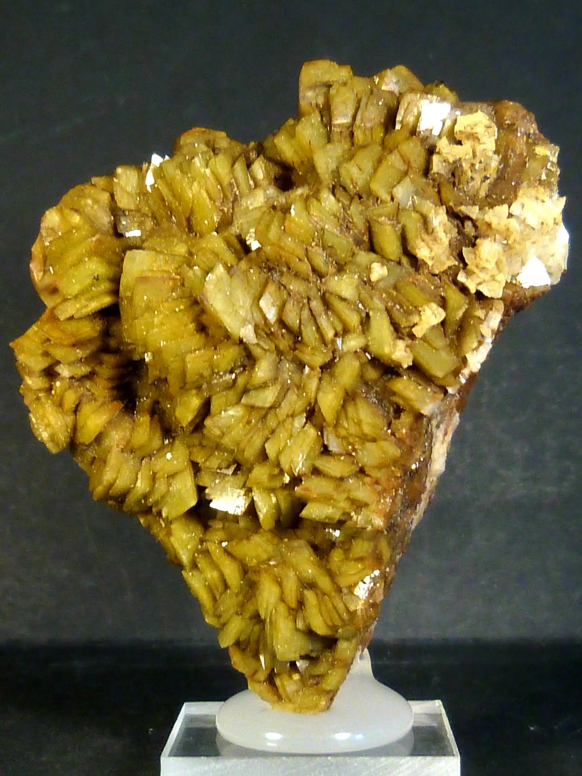 Siderita
6 x 5 x 2,5 cm.
(Autor: Felipe Abolafia)