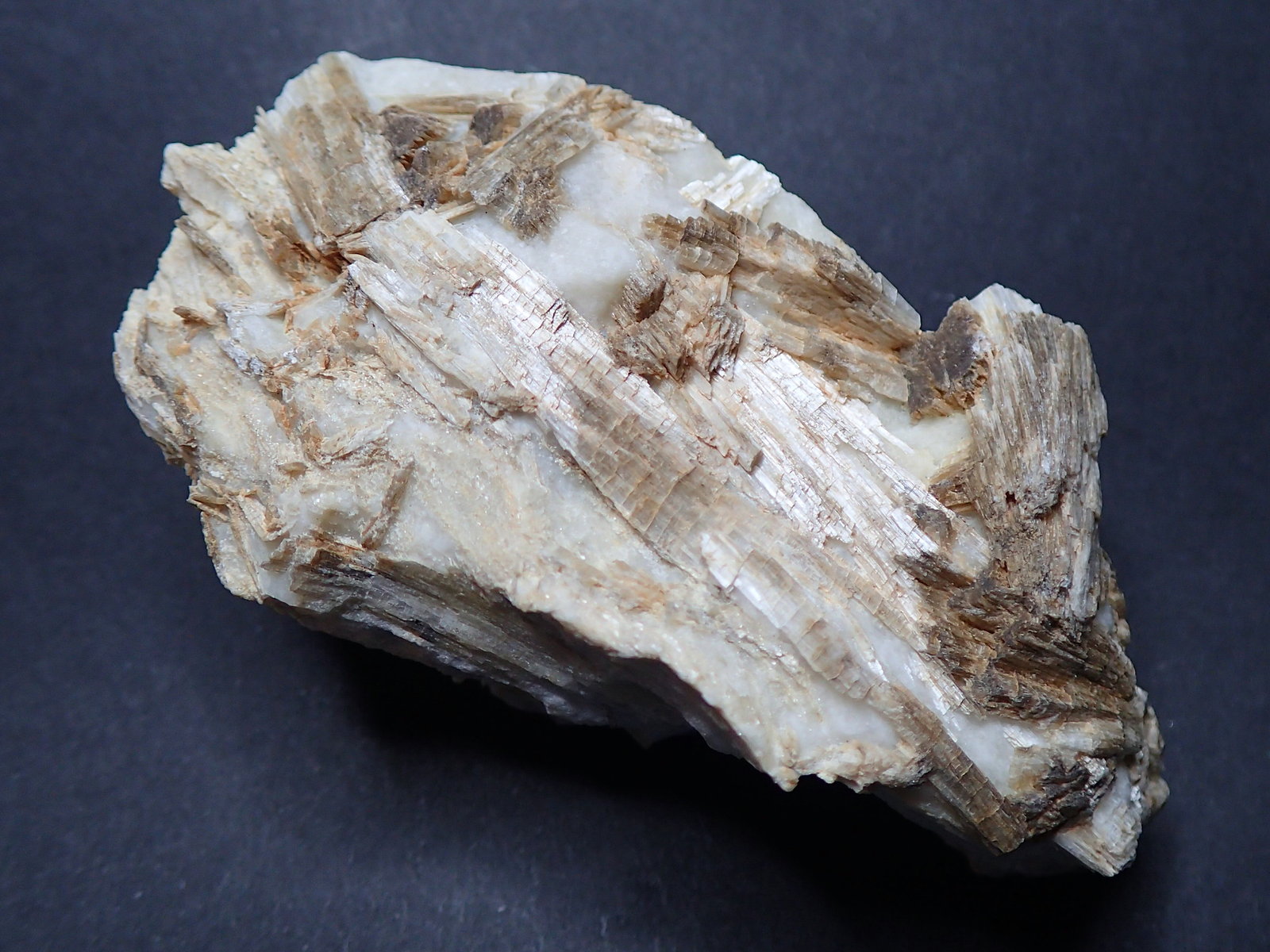 Tremolita
7,5 x 4 x 3 cm
(Autor: Frederic Varela)