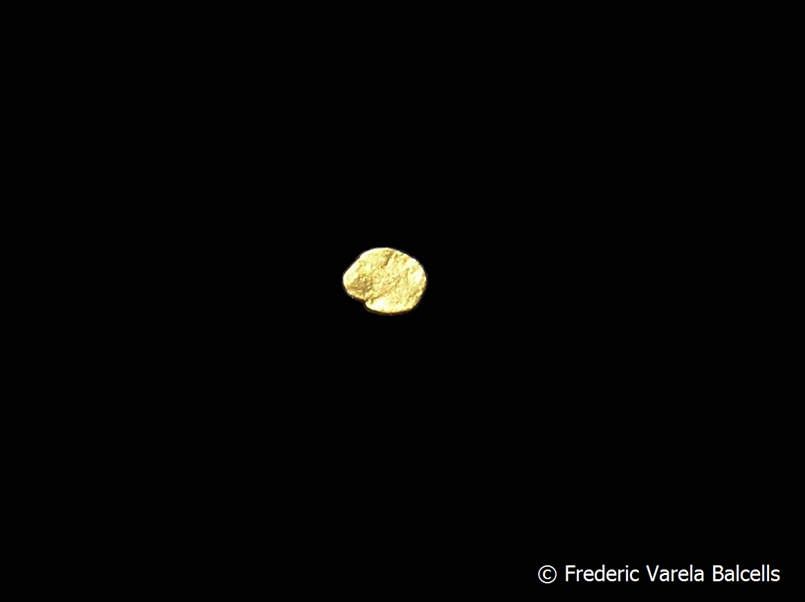 Oro
2,2 x 2 mm
(Autor: Frederic Varela)