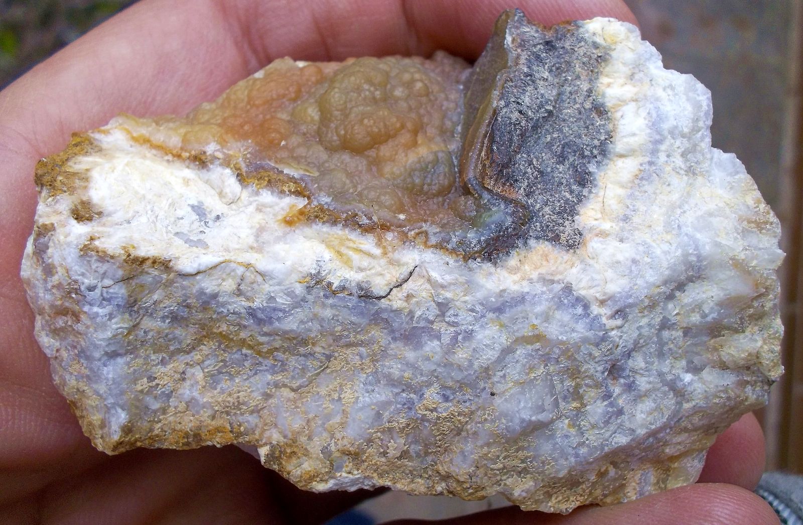 Cuarzo (variedad calcedonia)
6 x 4 cm
(Autor: Cristalino)