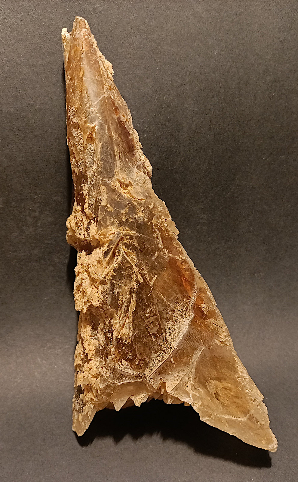Yeso
18 x 8 x 6 cm
(Autor: Frederic Varela)