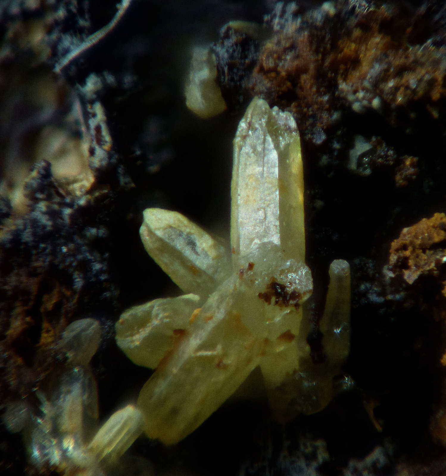 Mimetita
1 mm (cristal mayor)
(Autor: Frederic Varela)