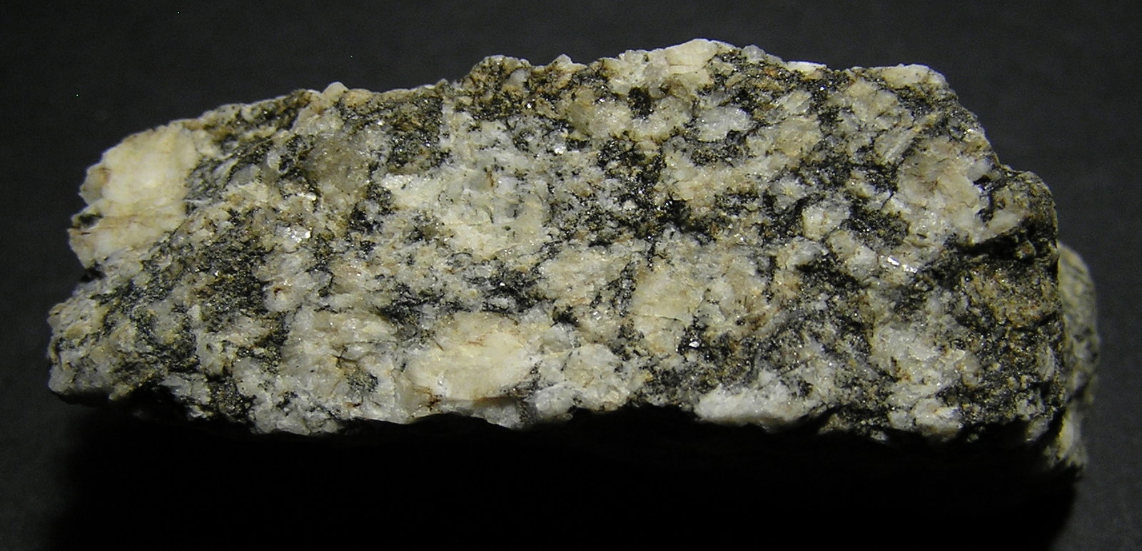 Granodiorita biotítica
5,5 x 2 cm
(Autor: Frederic Varela)
