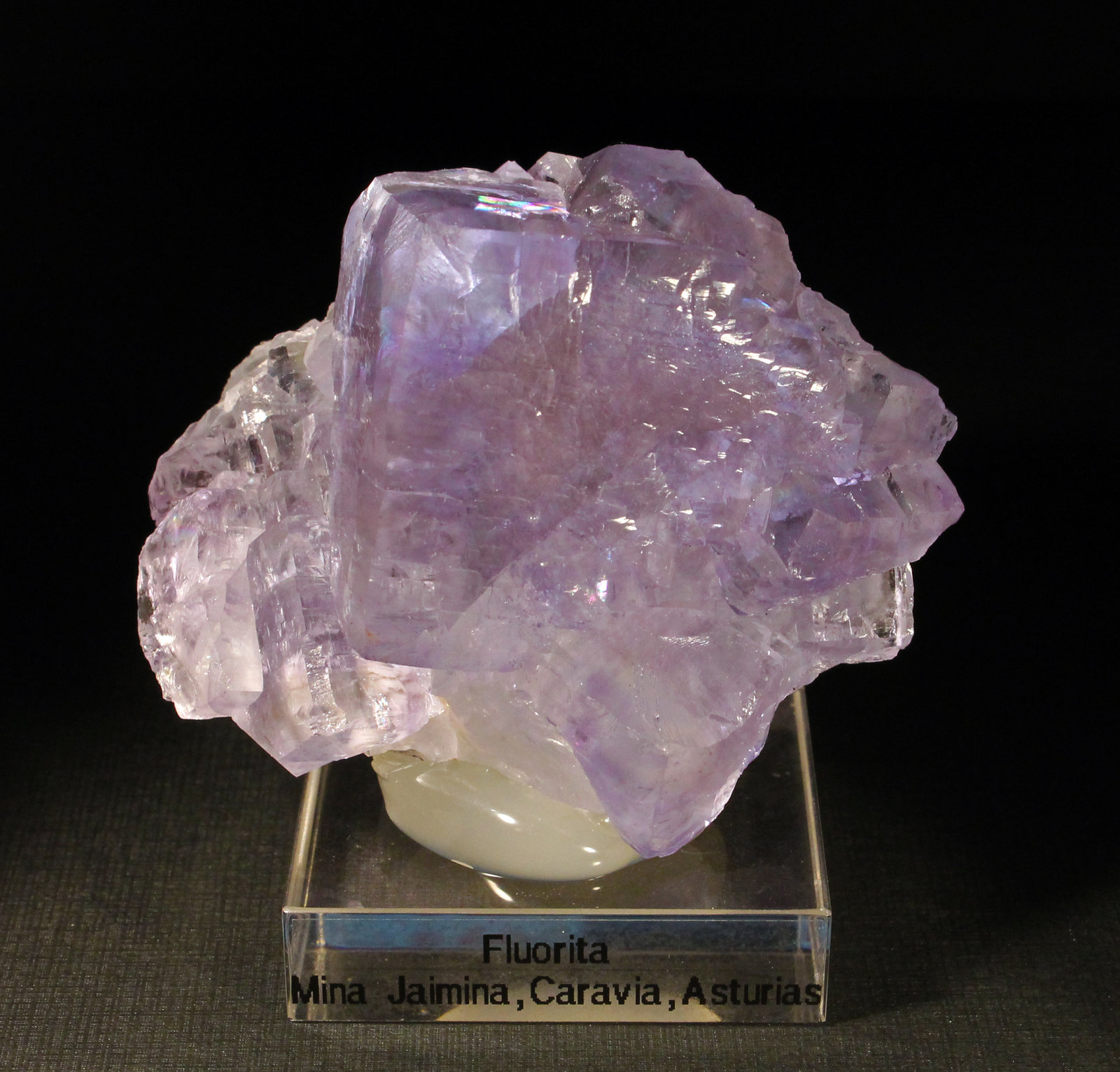 Fluorita
6 x 5 cm. (Cristal mayor: 3,2 cm).
(Autor: Darío Menéndez)