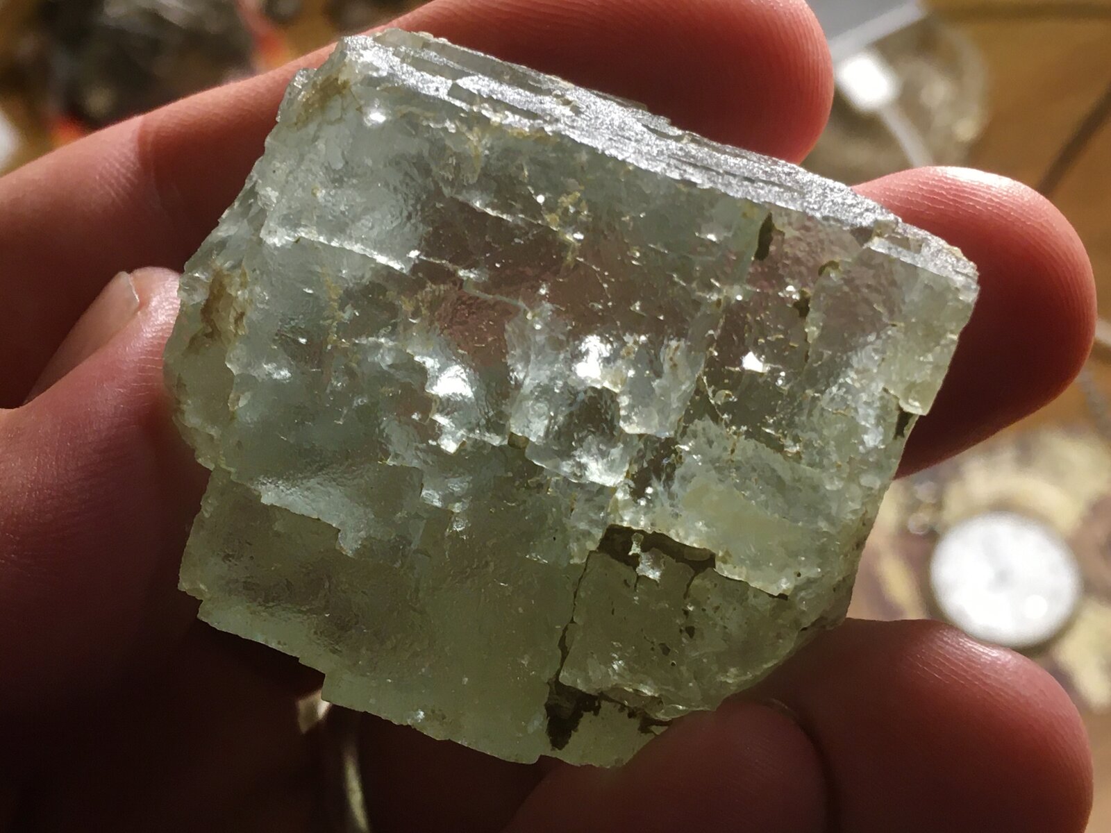 Fluorita
Ulea, Comarca Valle de Ricote, Región de Murcia (Murcia), España
4 x 4 cm
(Autor: Matias Raja)