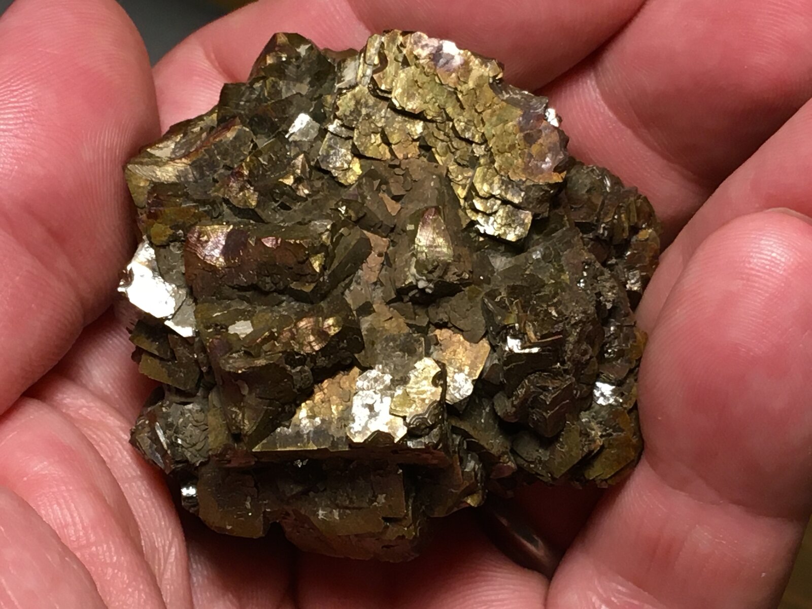 Pirita
Ricote, Comarca Valle de Ricote, Región de Murcia (Murcia), España
5 x 5 cm
(Autor: Matias Raja)